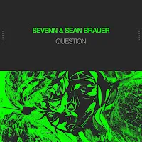 Sevenn — Question Ft Sean Brauer — обложка